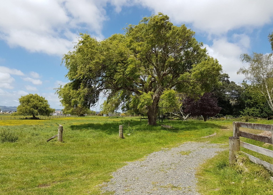 South Auckland Park Hingaia Reserve 1