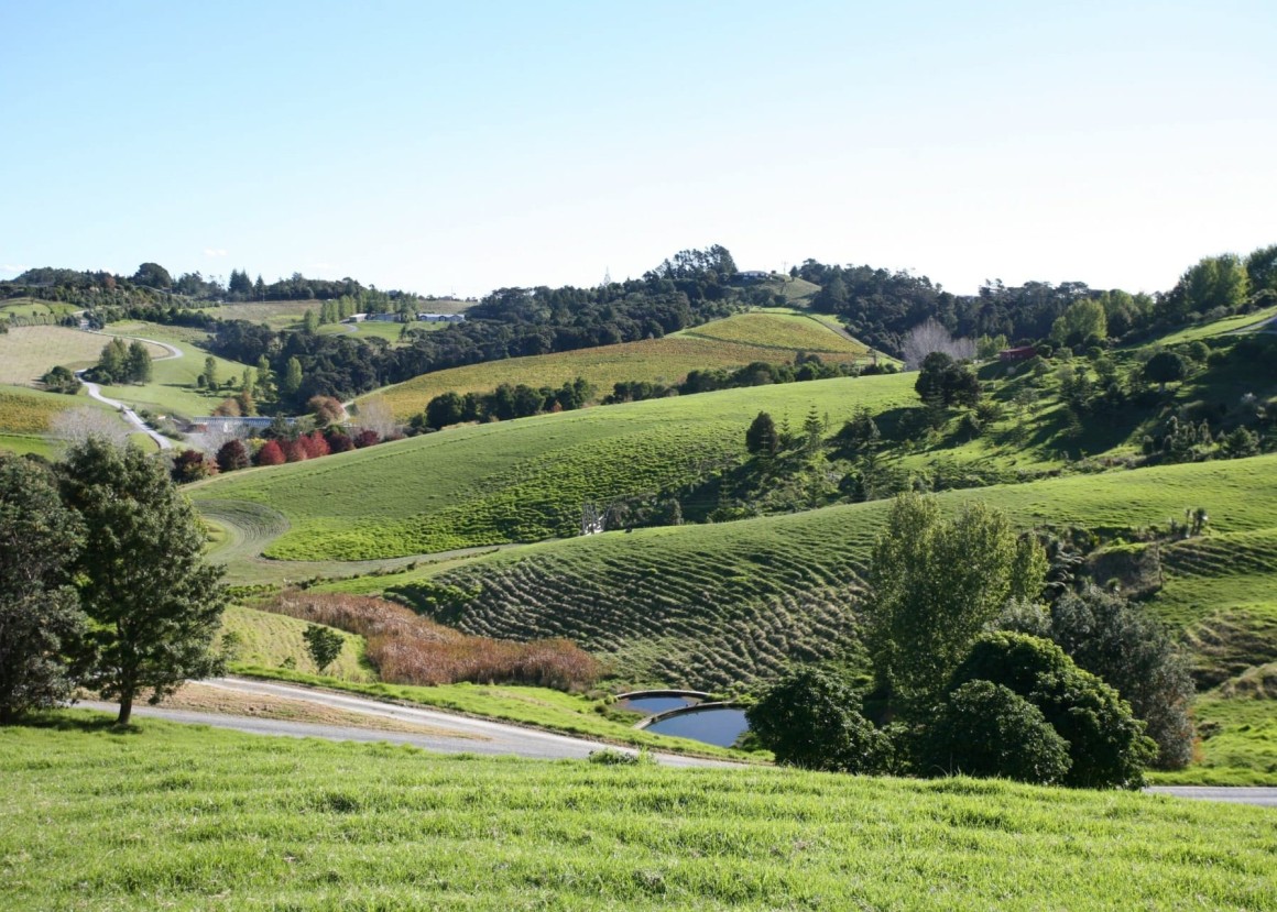 Brick Bay Farm Vistas