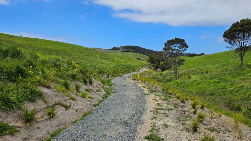 reset mangawhai hills open space