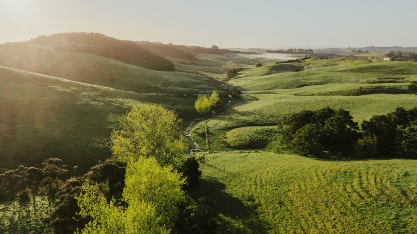 reset mangawhai hills ridgelines