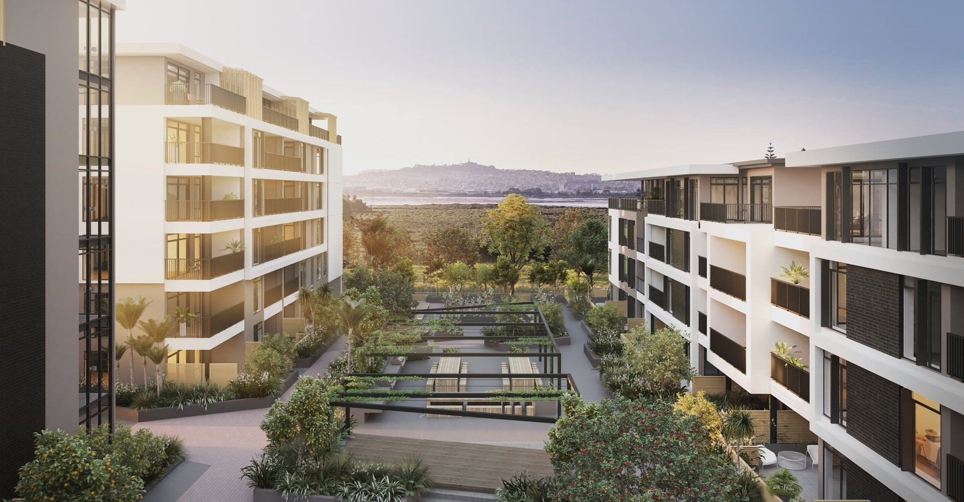 Market Cove Auckland Reset Urban Design 1
