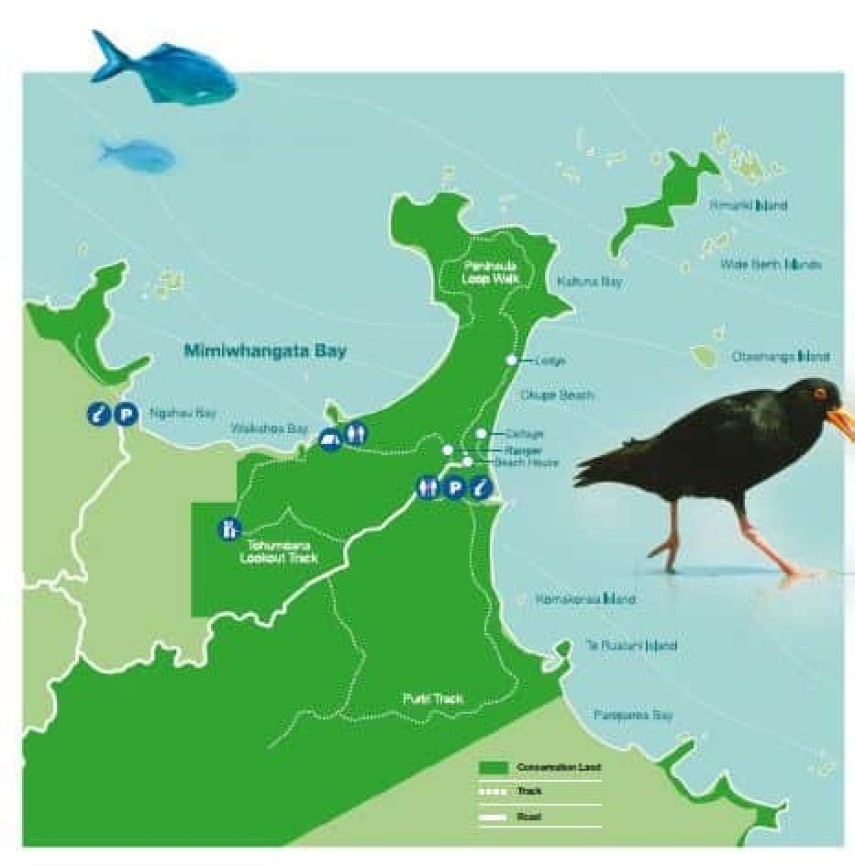 Mimi map