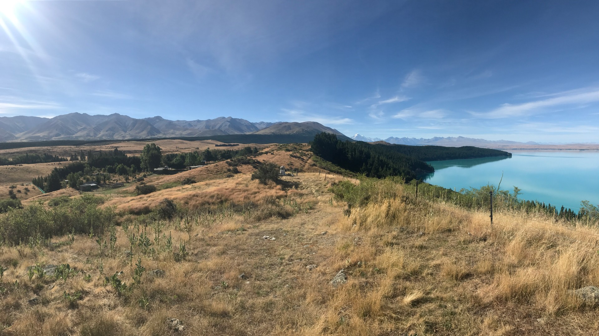 Pukaki Downs