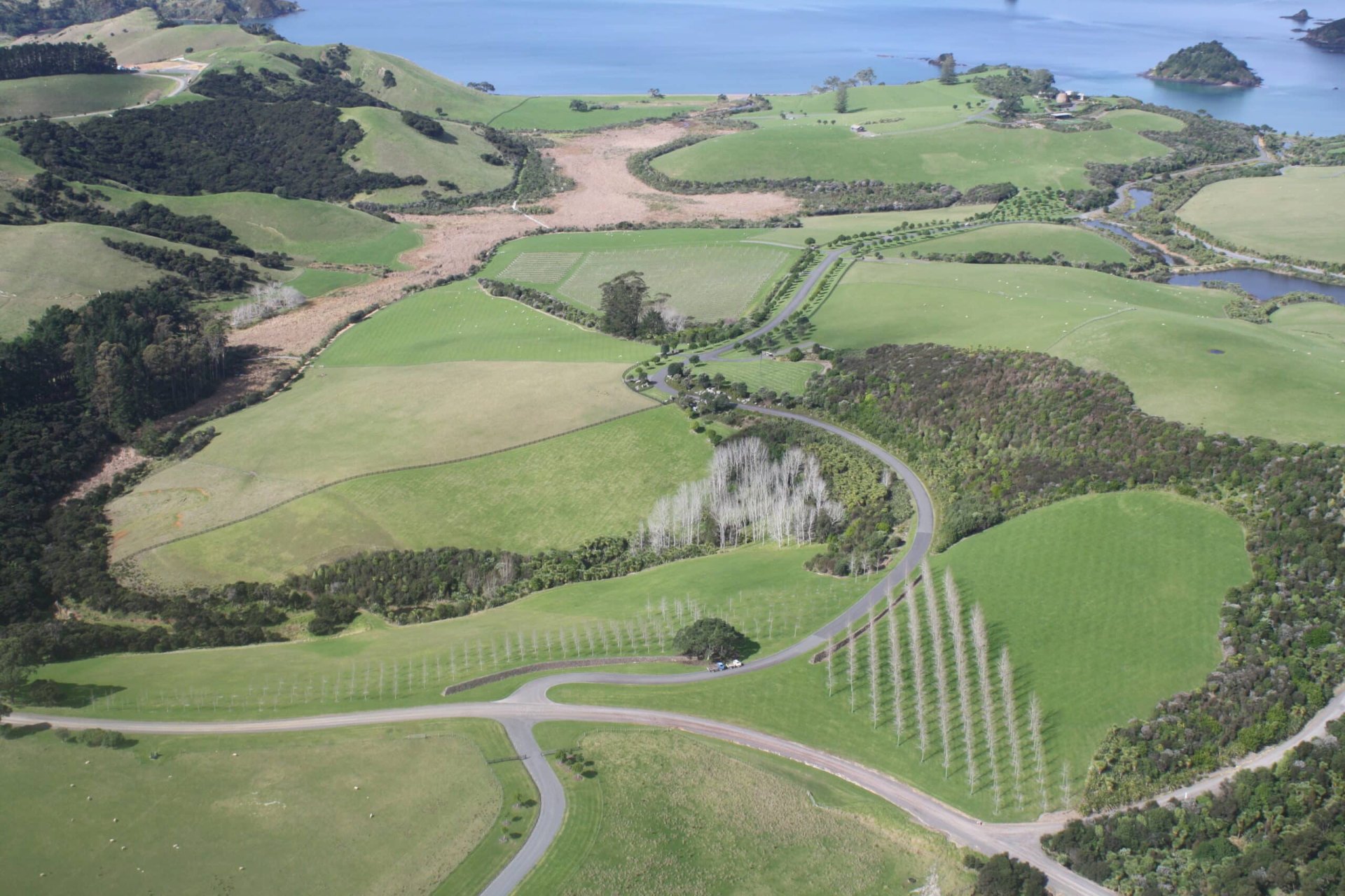 Waitangi Grounds 2 Reset Urban Design