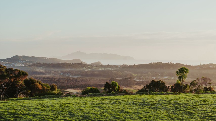 mangawhai hills 2