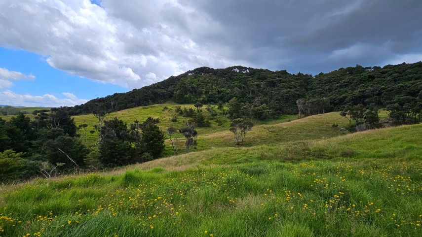 mangawhai hills 4