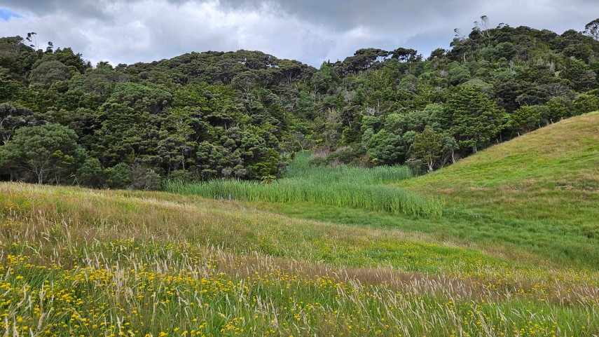 mangawhai hills 5