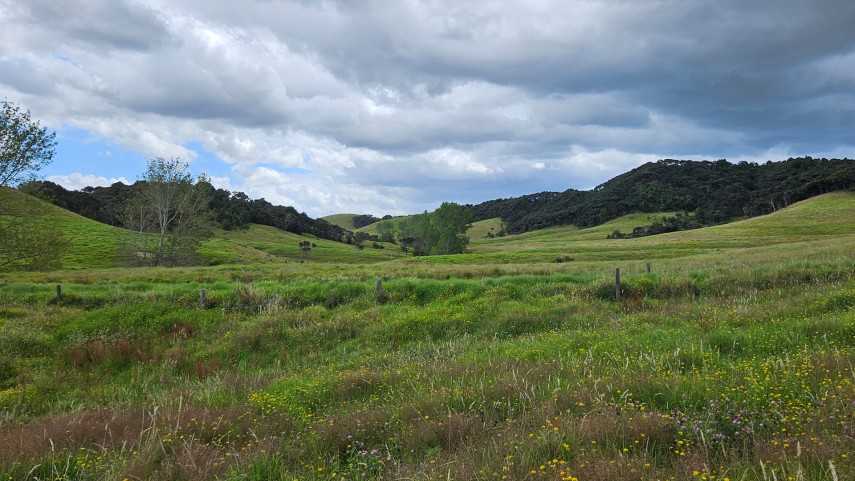 mangawhai hills 6