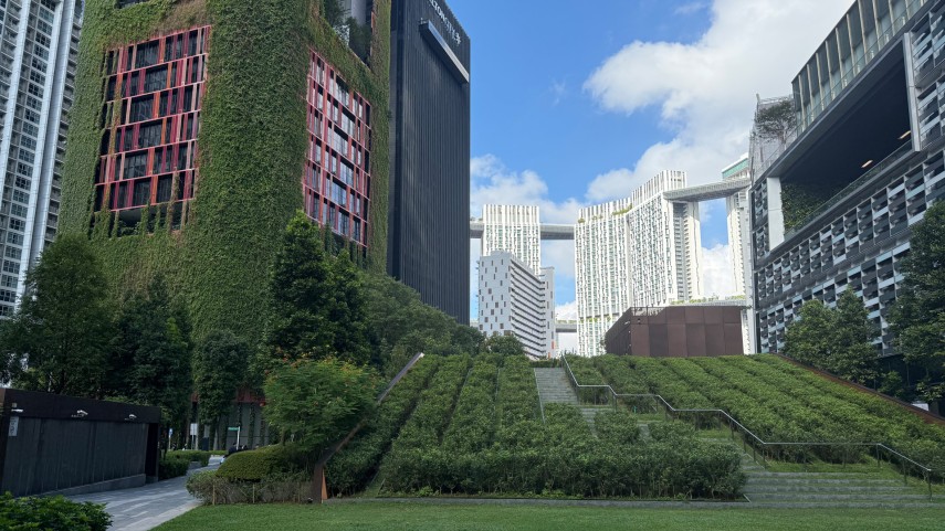 reset singapore3